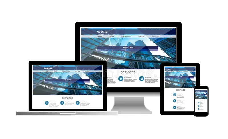 What Is a Website?